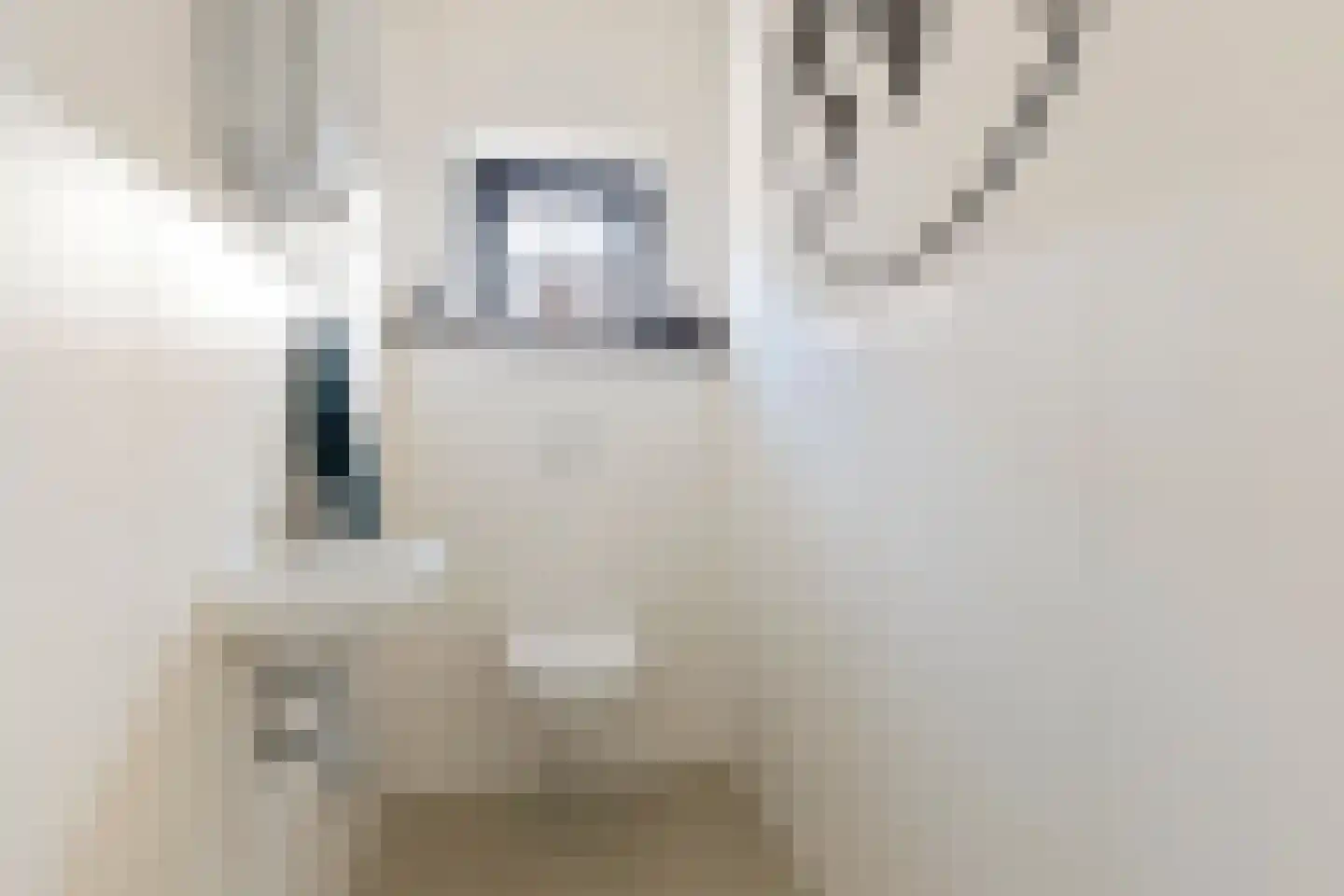 Leeuwerik 19 Blauwestad thumbnail 30