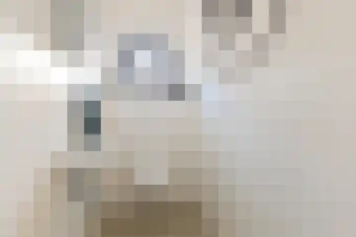 Leeuwerik 19 Blauwestad thumbnail 30