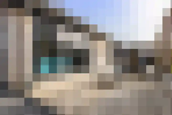 Leeuwerik 19 Blauwestad thumbnail 33