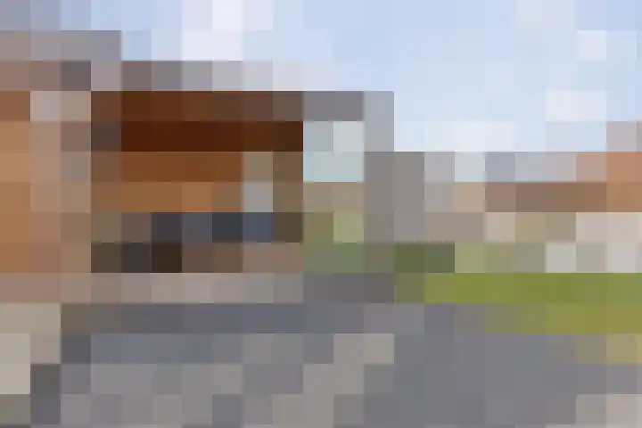 Leeuwerik 19 Blauwestad thumbnail 34