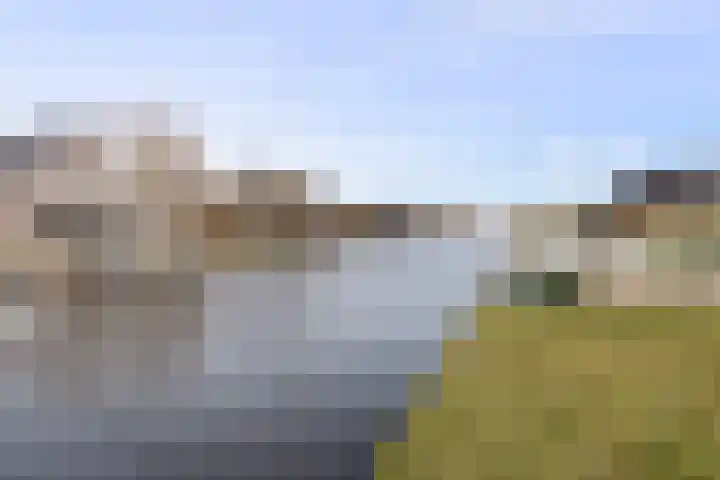 Leeuwerik 19 Blauwestad thumbnail 36