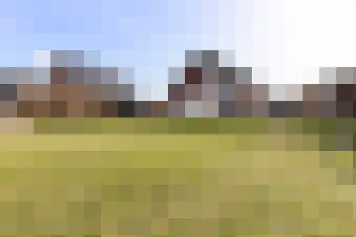 Leeuwerik 19 Blauwestad thumbnail 37