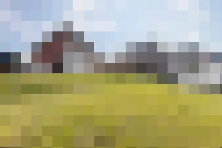 Leeuwerik 19 Blauwestad thumbnail 38