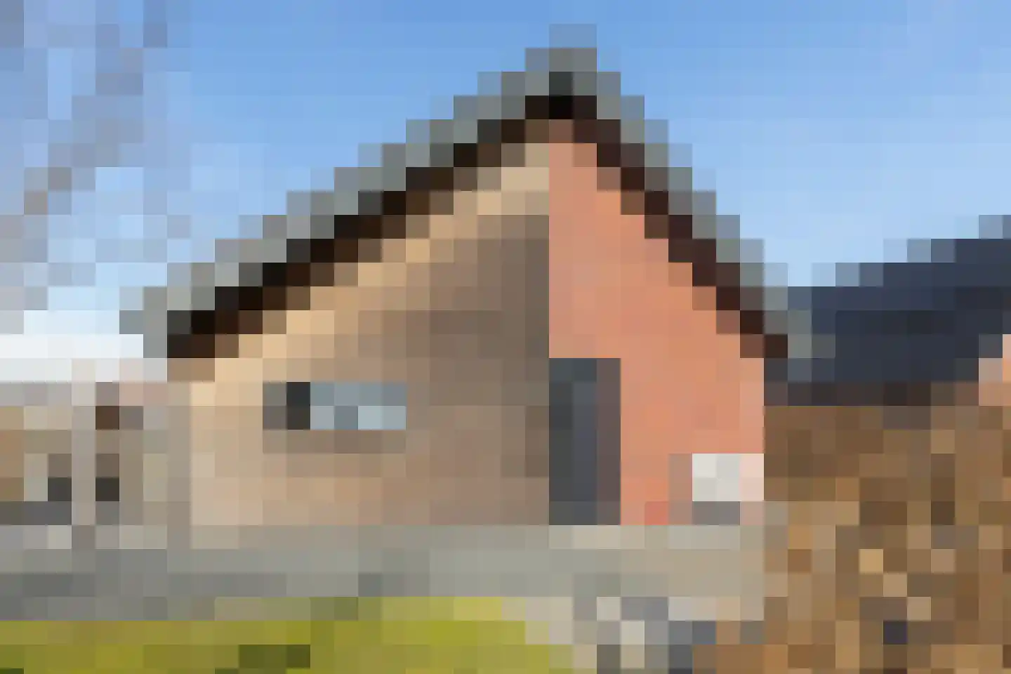 Leeuwerik 19 Blauwestad thumbnail 39