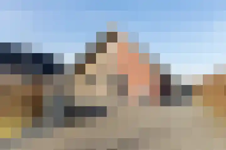 Leeuwerik 19 Blauwestad thumbnail 4