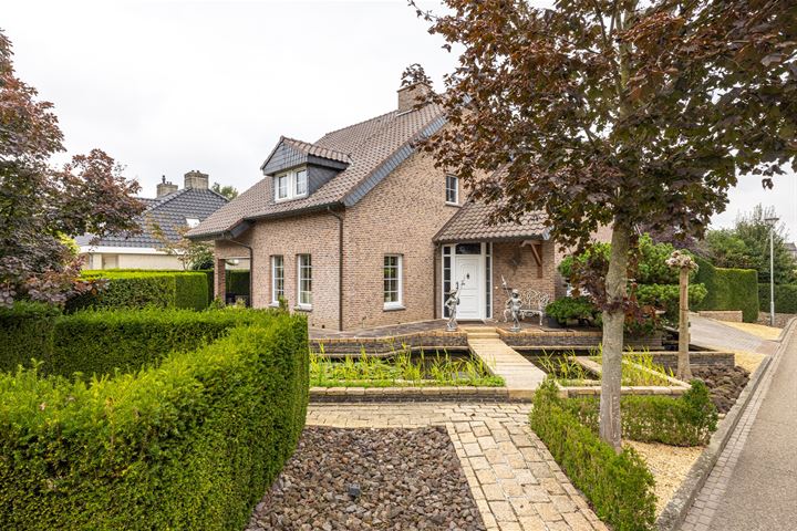 Leeuwerik 2 in Schinveld photo