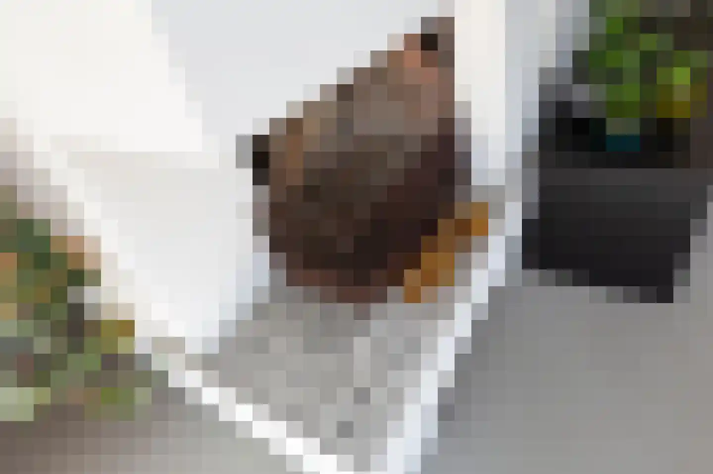 Leeuwerik 2 a Bodegraven thumbnail 10