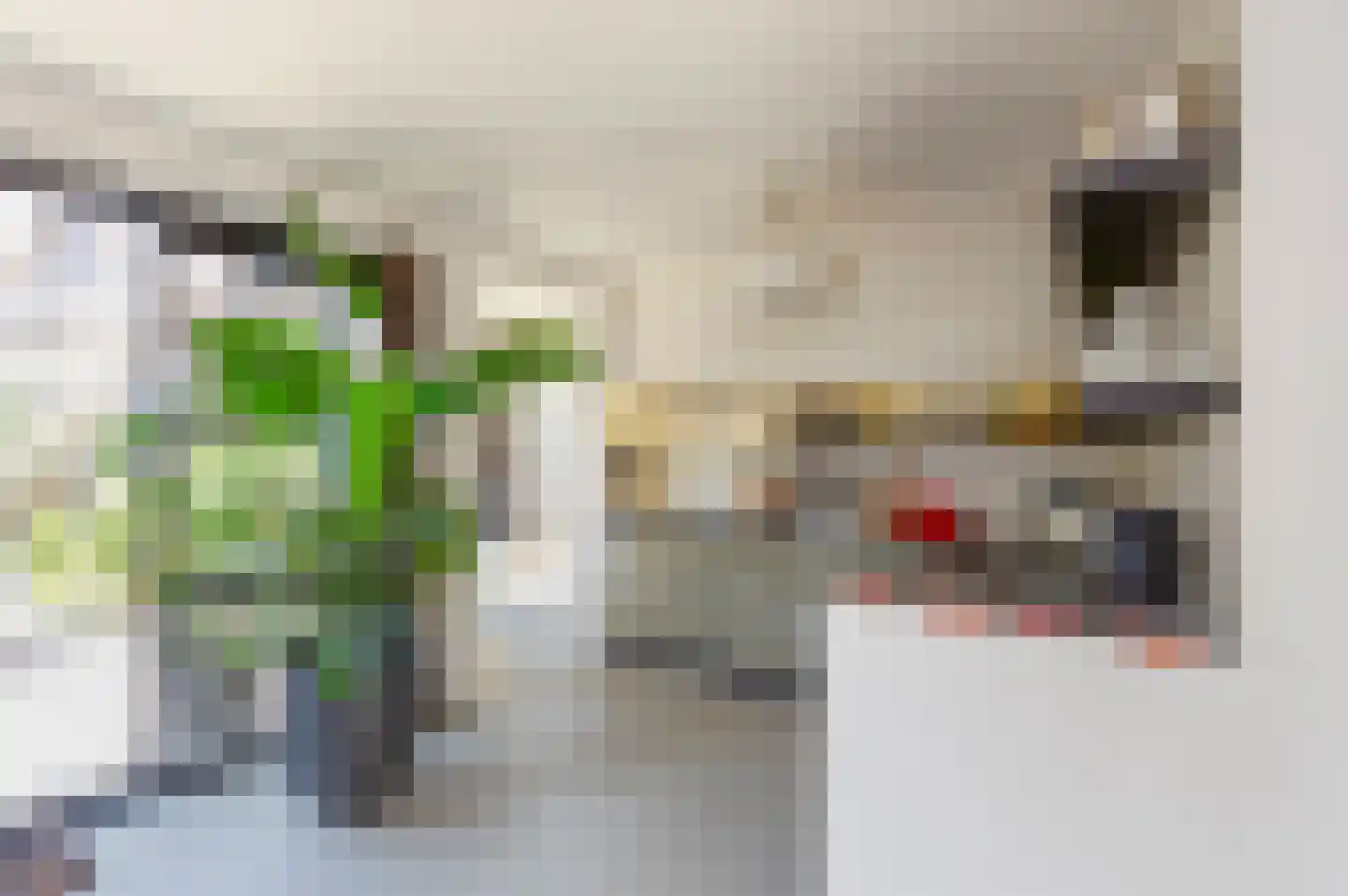Leeuwerik 2 a Bodegraven thumbnail 17