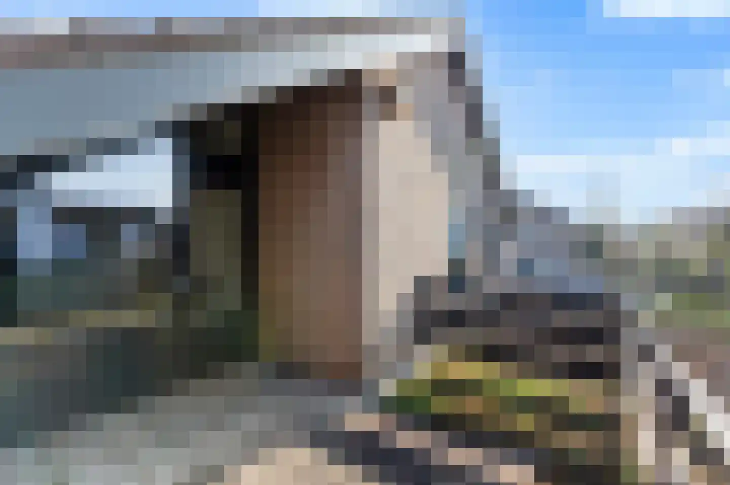 Leeuwerik 2 a Bodegraven thumbnail 31