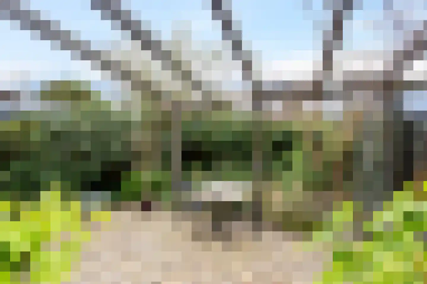 Leeuwerik 2 a Bodegraven thumbnail 39