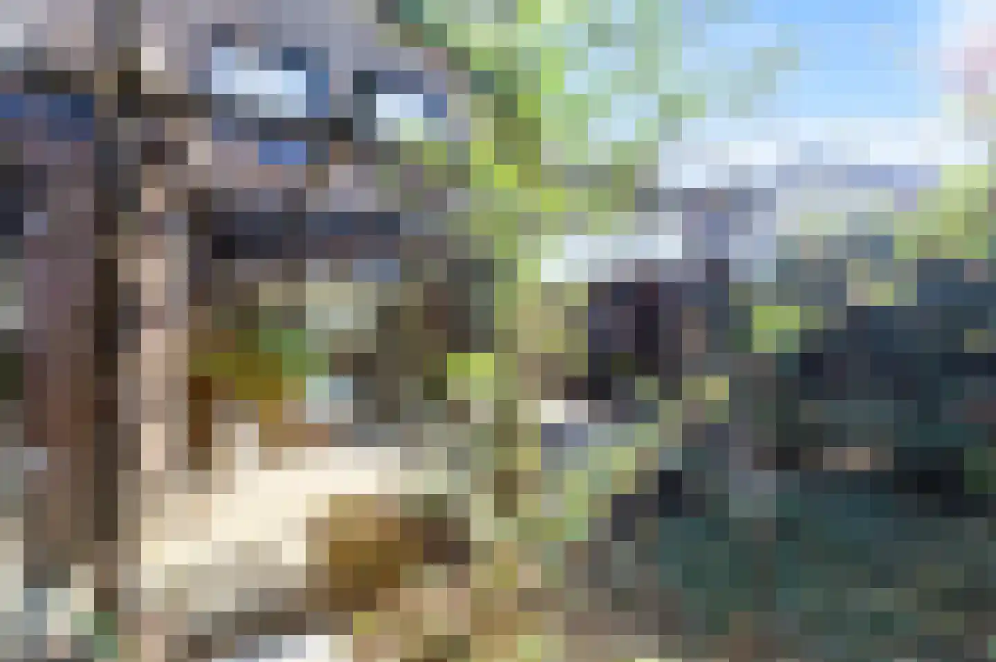 Leeuwerik 2 a Bodegraven thumbnail 41