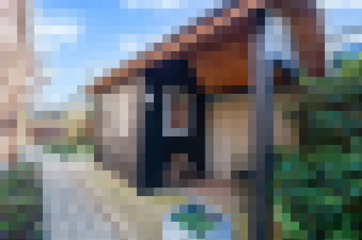 Leeuwerik 2 a Bodegraven thumbnail 44