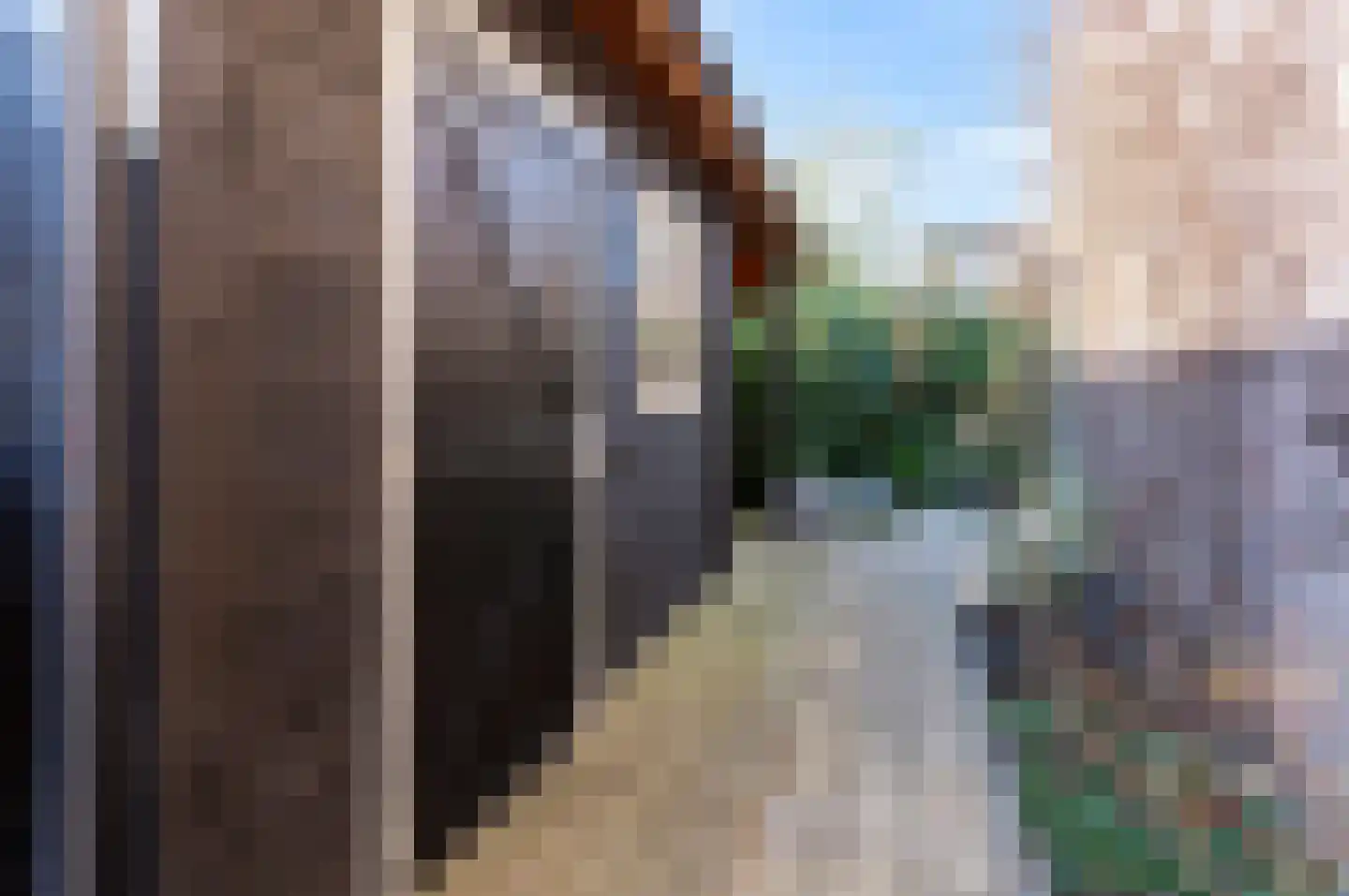 Leeuwerik 2 a Bodegraven thumbnail 45
