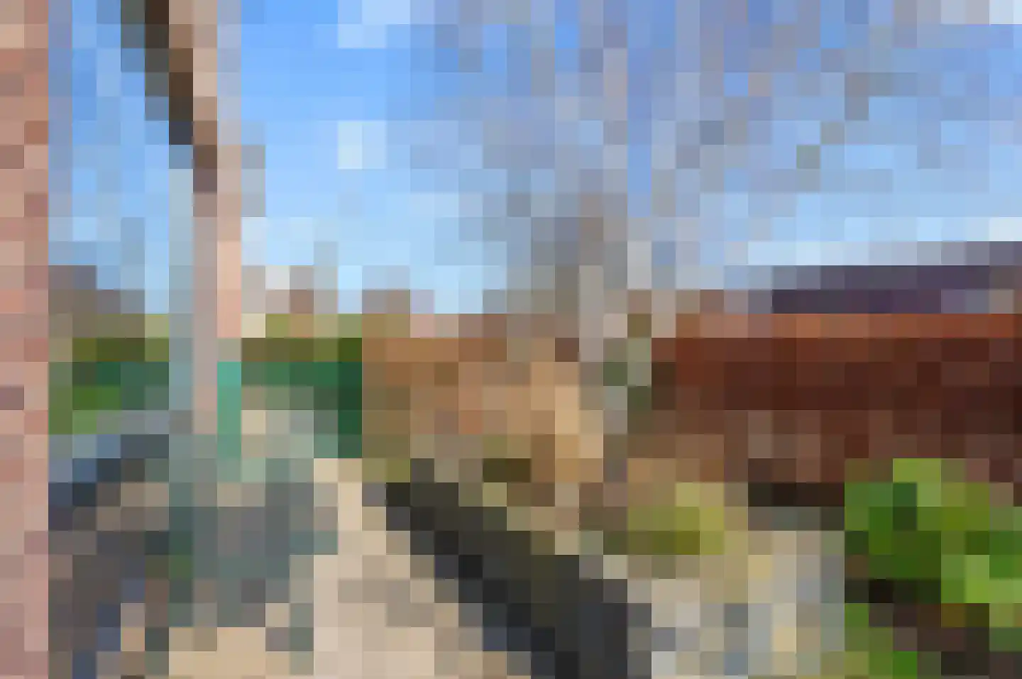 Leeuwerik 2 a Bodegraven thumbnail 46