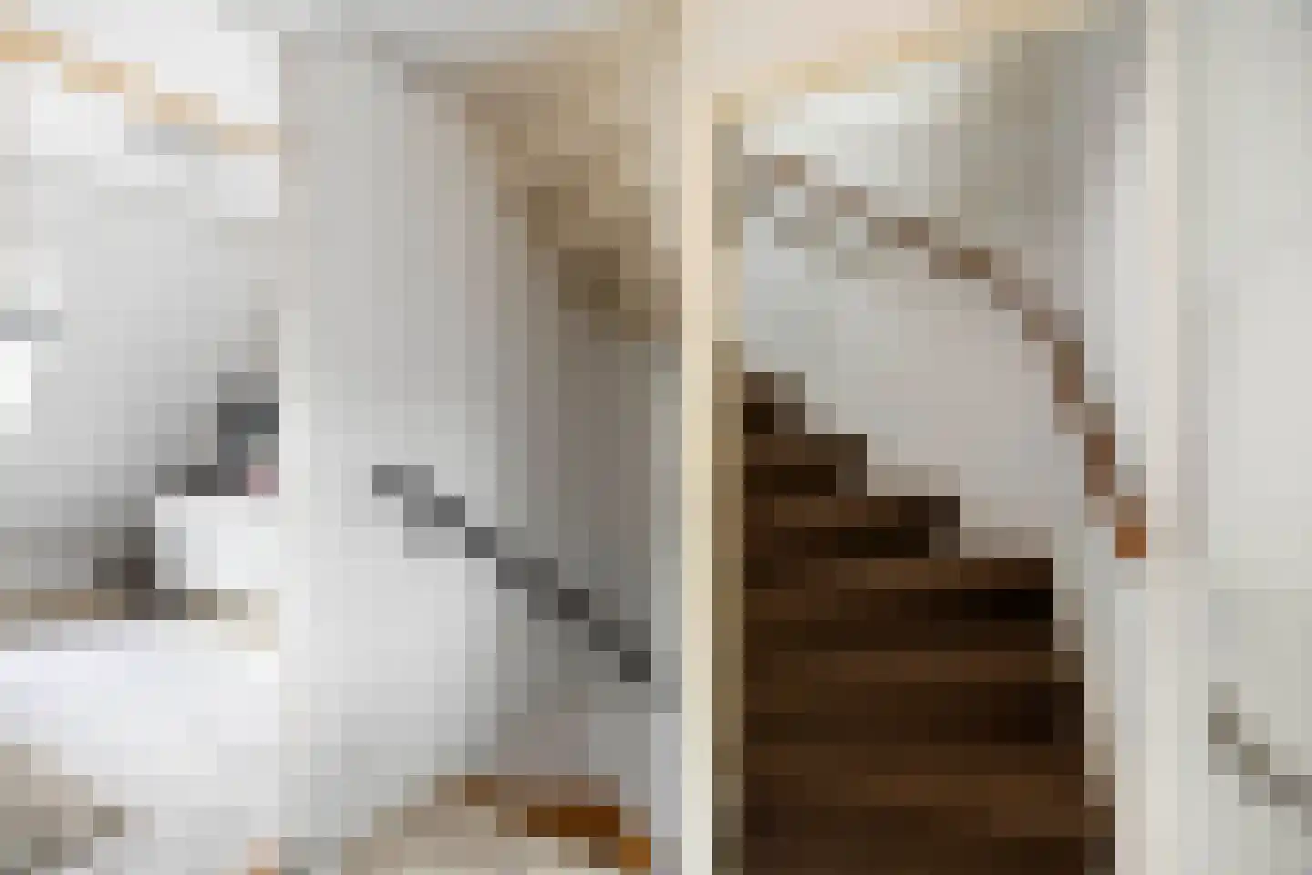 Leeuwerik 2 Deventer thumbnail 13