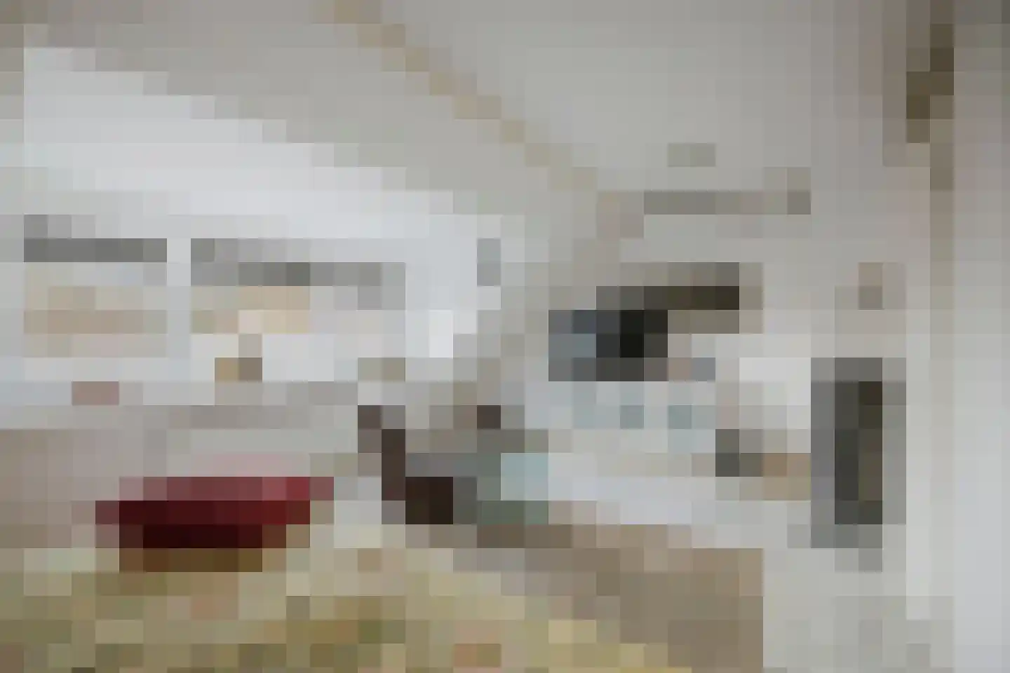 Leeuwerik 2 Deventer thumbnail 14