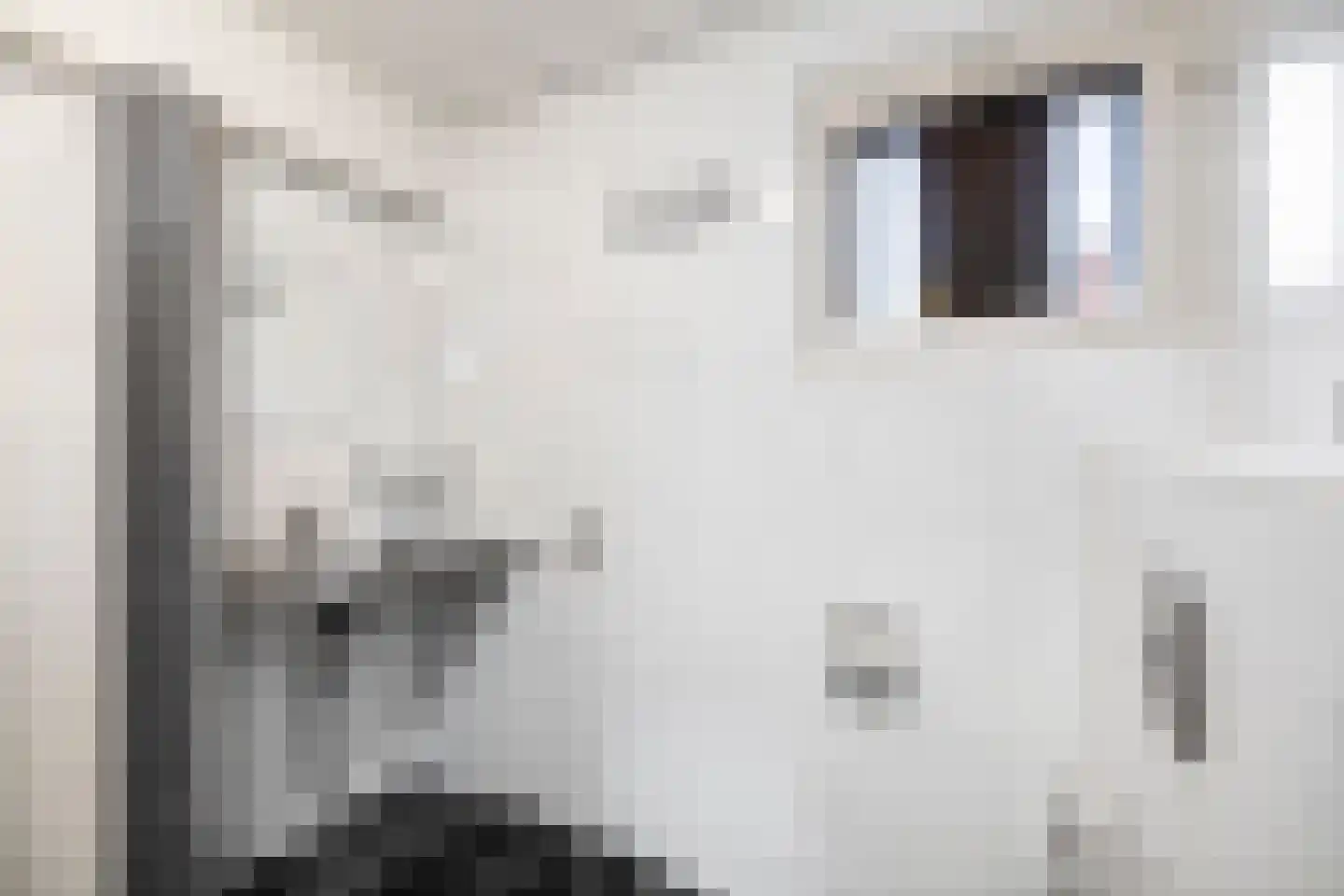 Leeuwerik 2 Deventer thumbnail 19