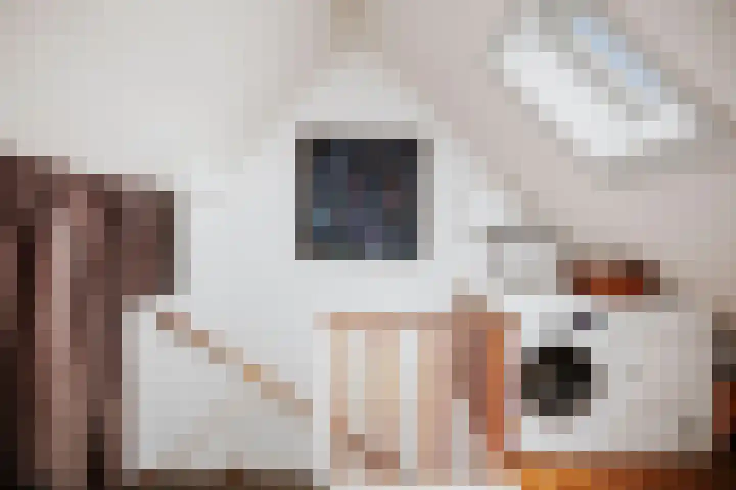 Leeuwerik 2 Deventer thumbnail 21
