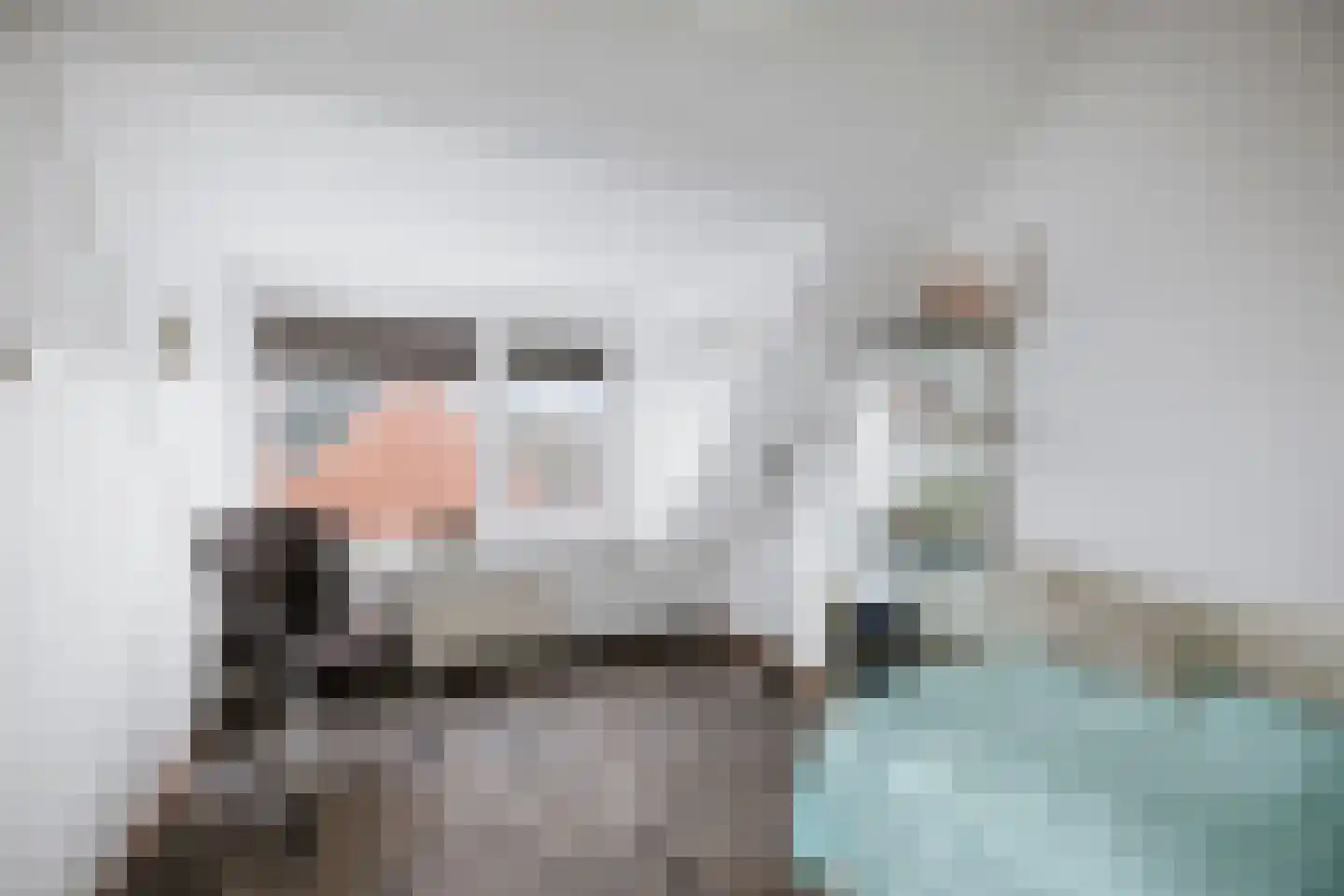 Leeuwerik 2 Deventer thumbnail 22