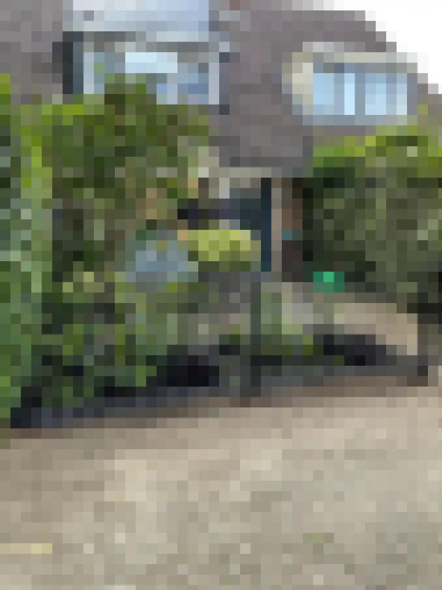Leeuwerik 2 Deventer thumbnail 25