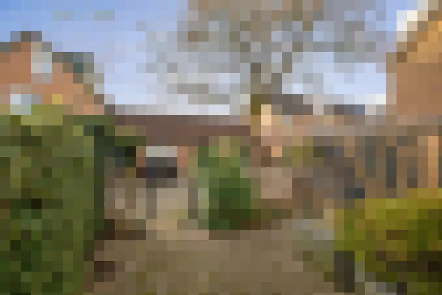 Leeuwerik 2 Deventer thumbnail 26