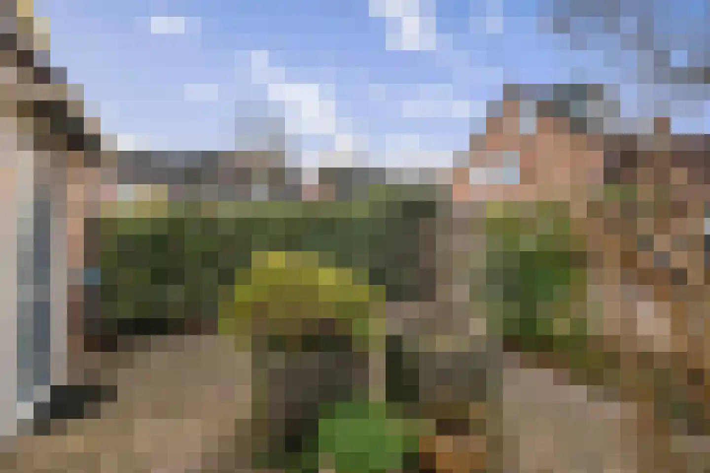 Leeuwerik 2 Deventer thumbnail 27