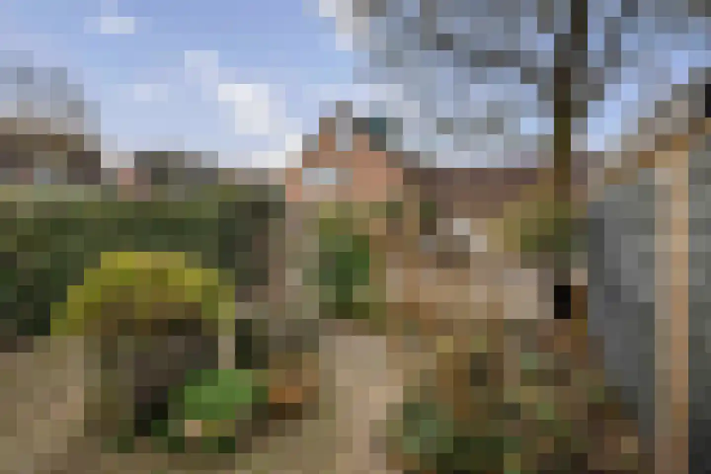 Leeuwerik 2 Deventer thumbnail 28