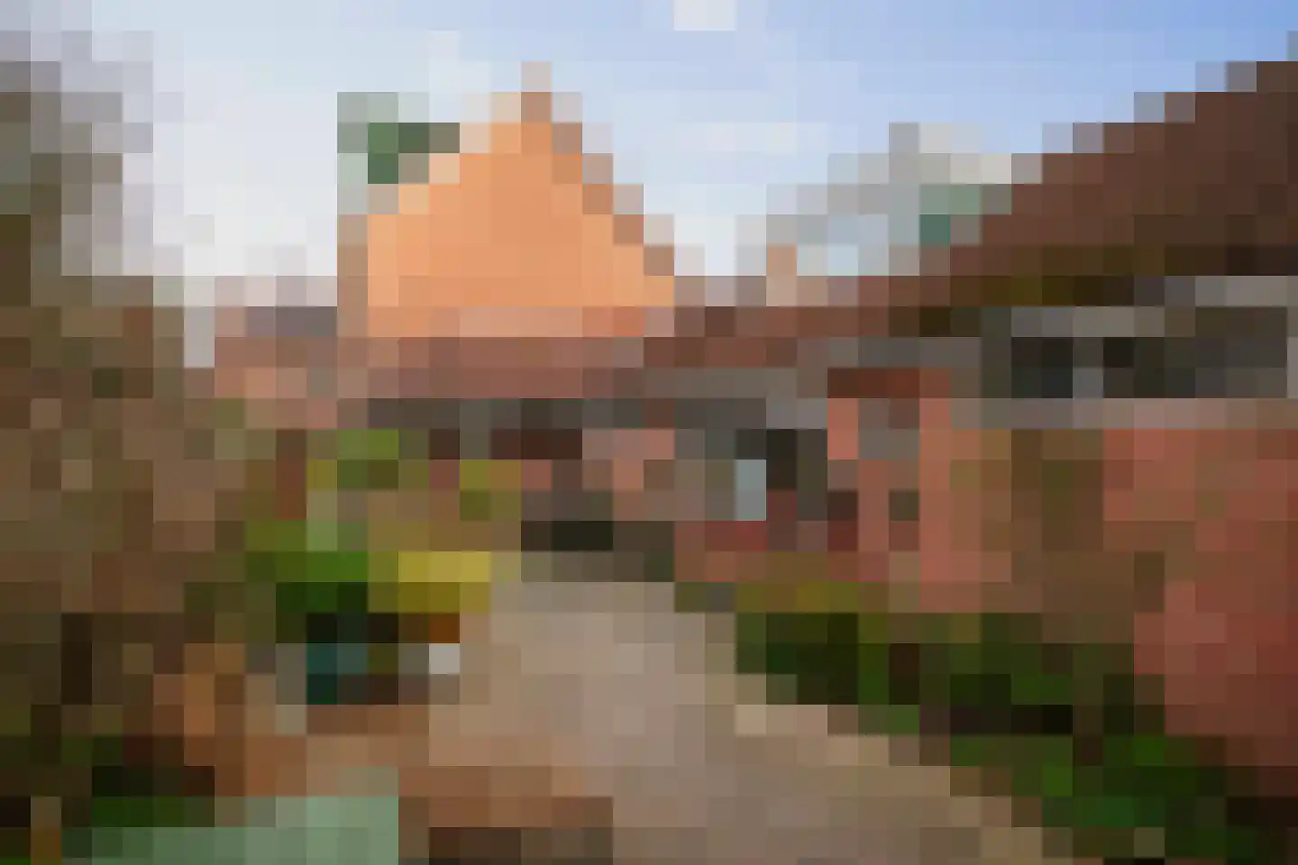 Leeuwerik 2 Deventer thumbnail 30