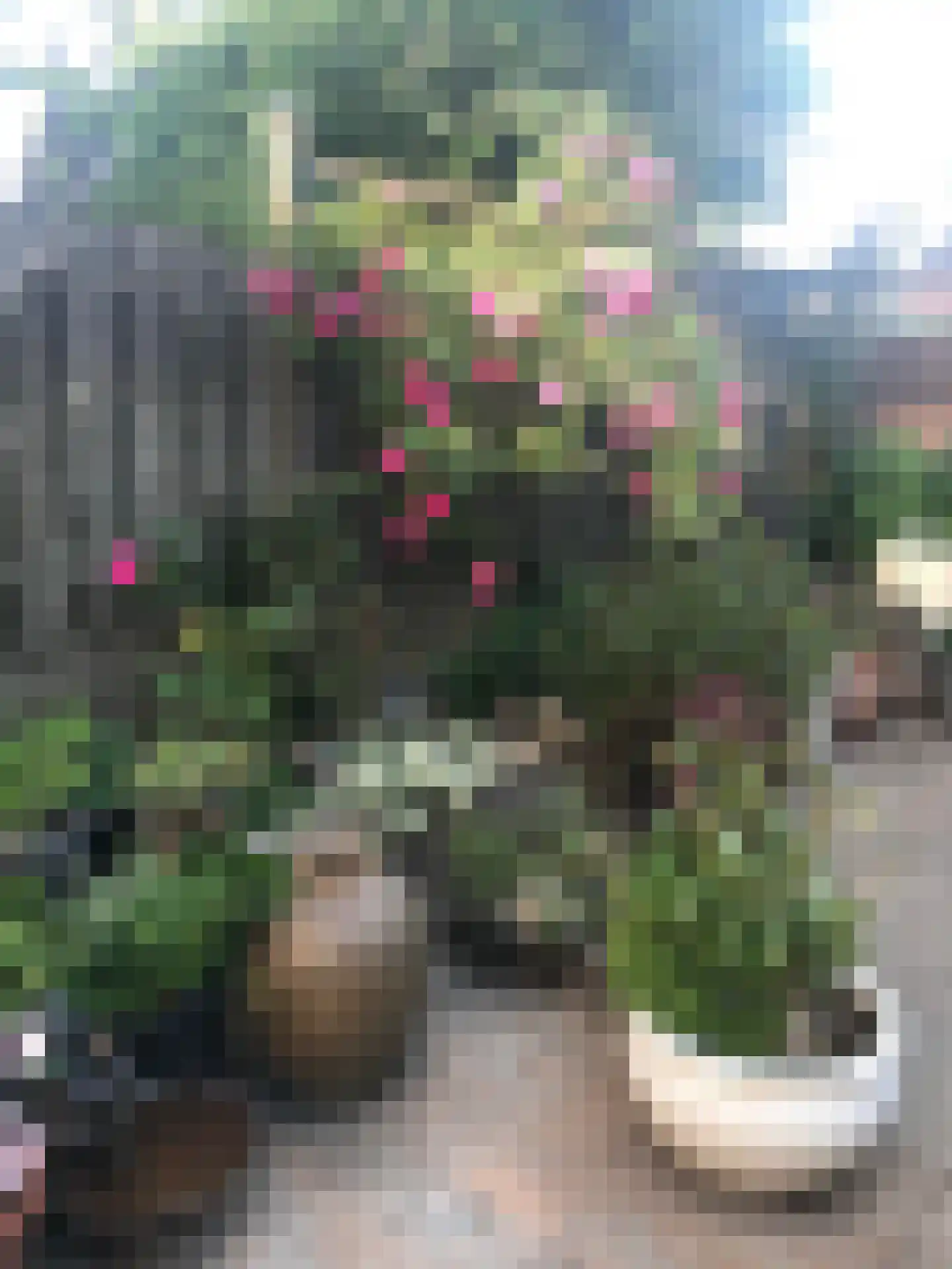 Leeuwerik 2 Deventer thumbnail 35