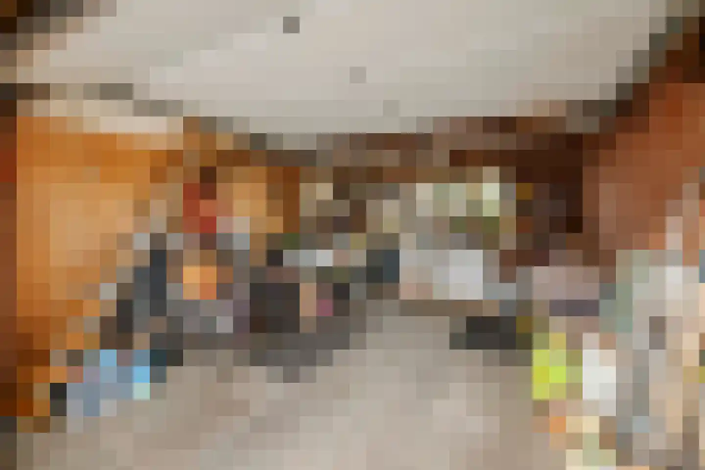 Leeuwerik 2 Deventer thumbnail 36