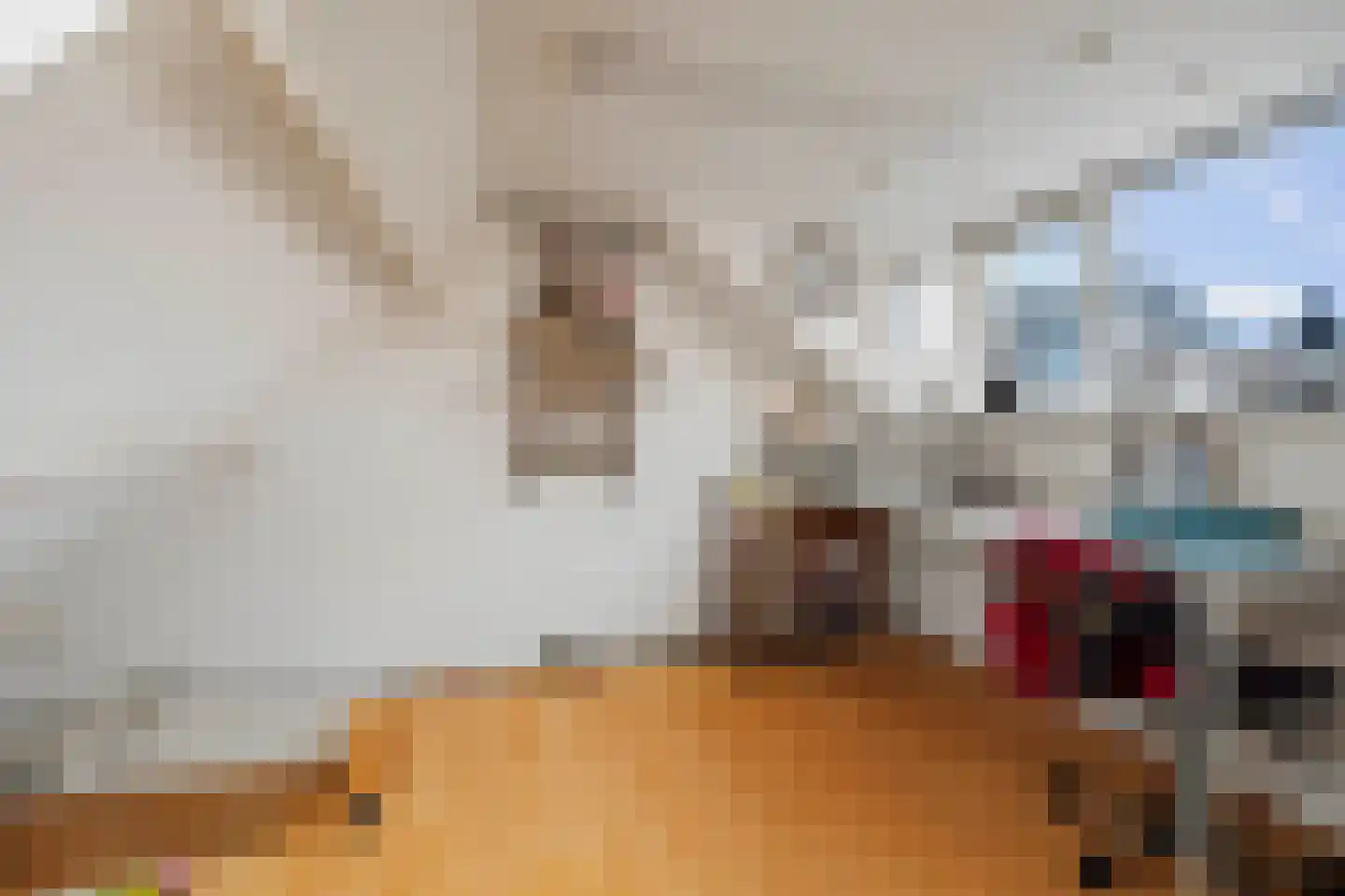 Leeuwerik 2 Deventer thumbnail 39