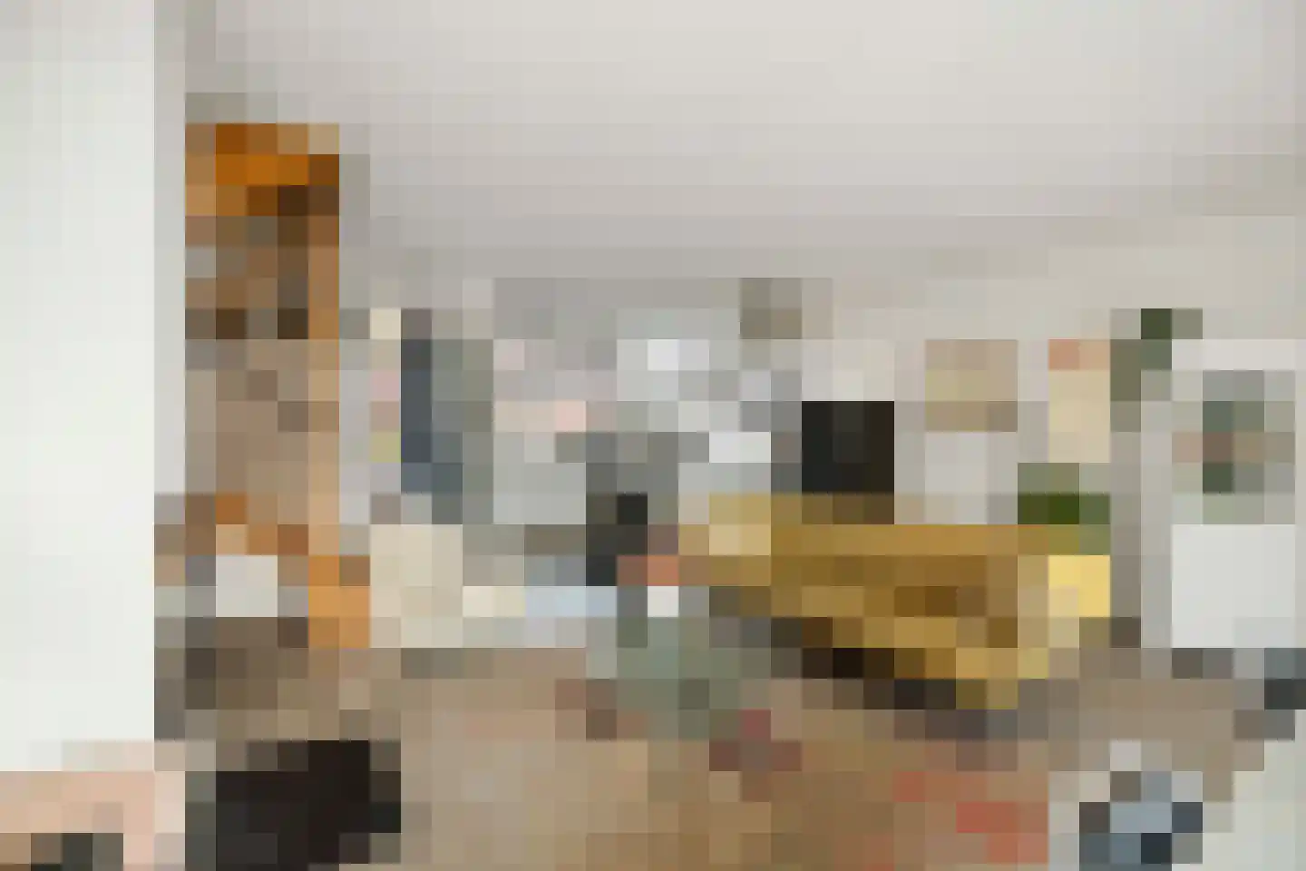 Leeuwerik 2 Deventer thumbnail 5
