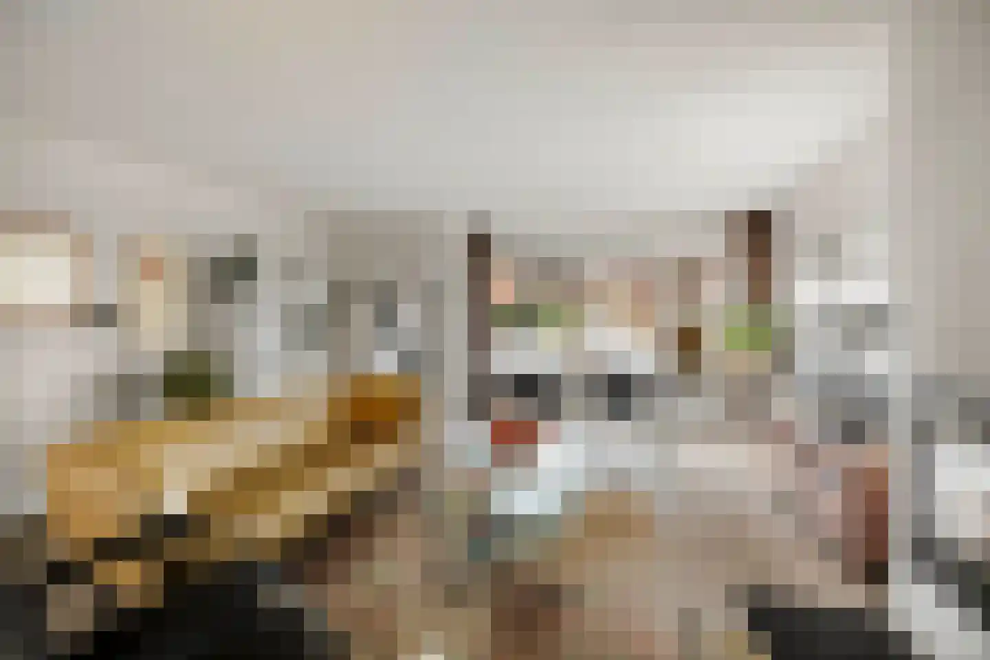 Leeuwerik 2 Deventer thumbnail 6