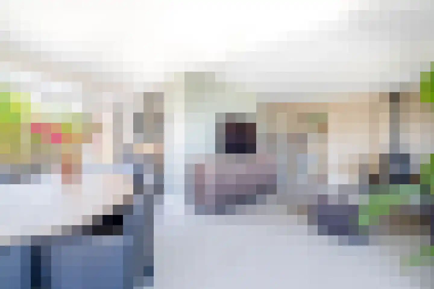 Leeuwerik 2 Lemmer thumbnail 22