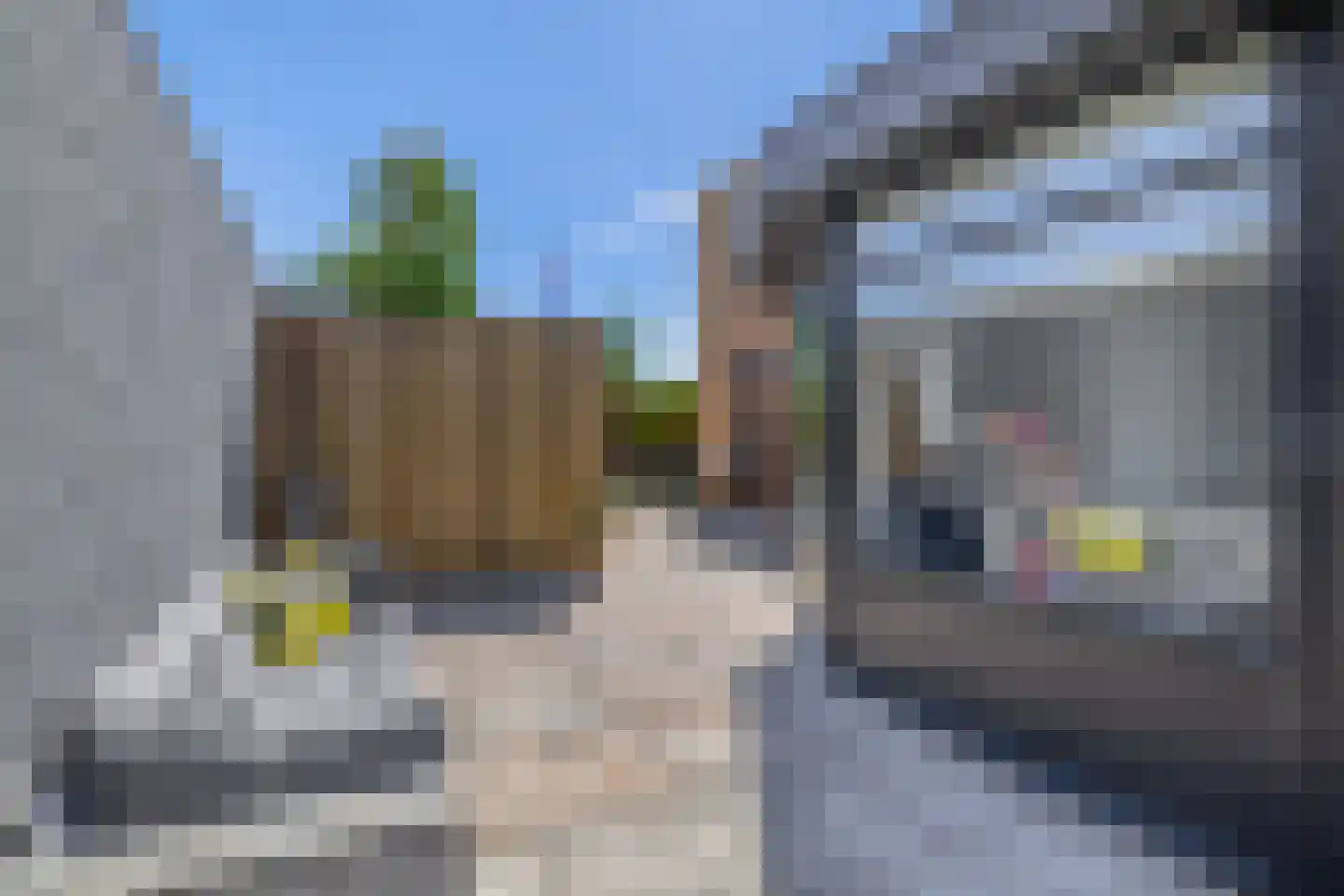 Leeuwerik 2 Lemmer thumbnail 31