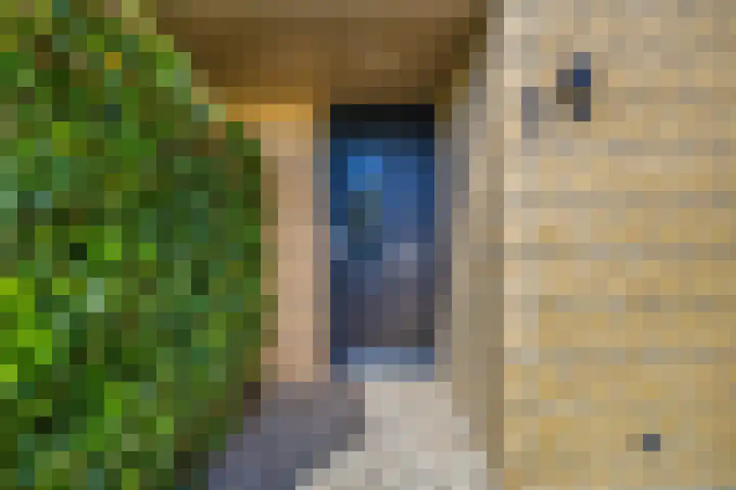 Leeuwerik 2 Lemmer thumbnail 4