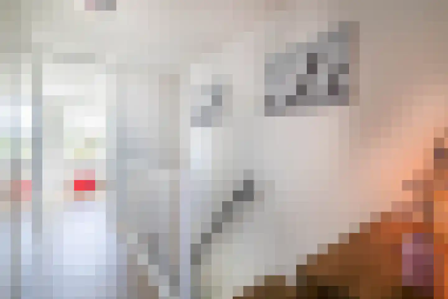 Leeuwerik 2 Lemmer thumbnail 40