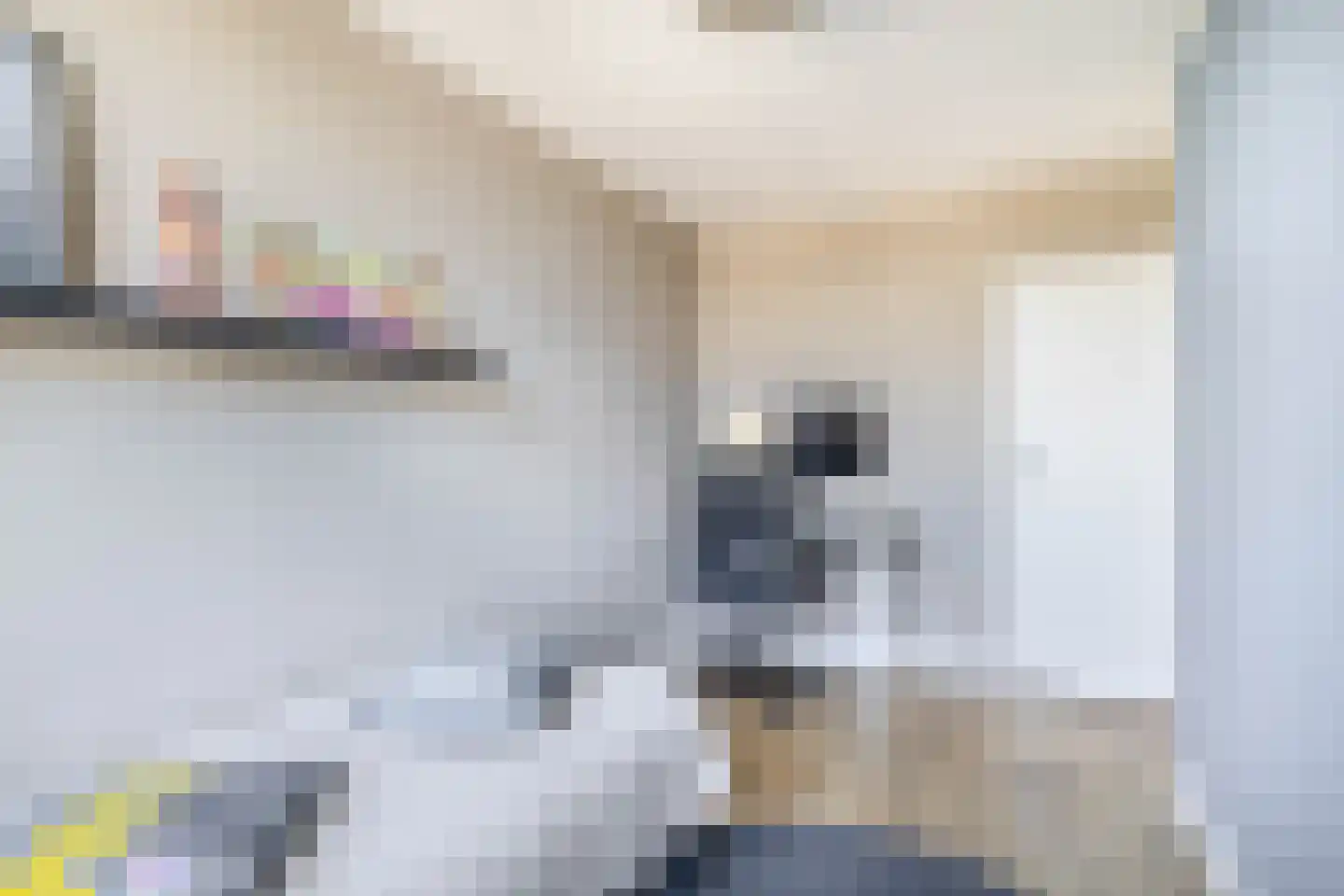 Leeuwerik 2 Lemmer thumbnail 48