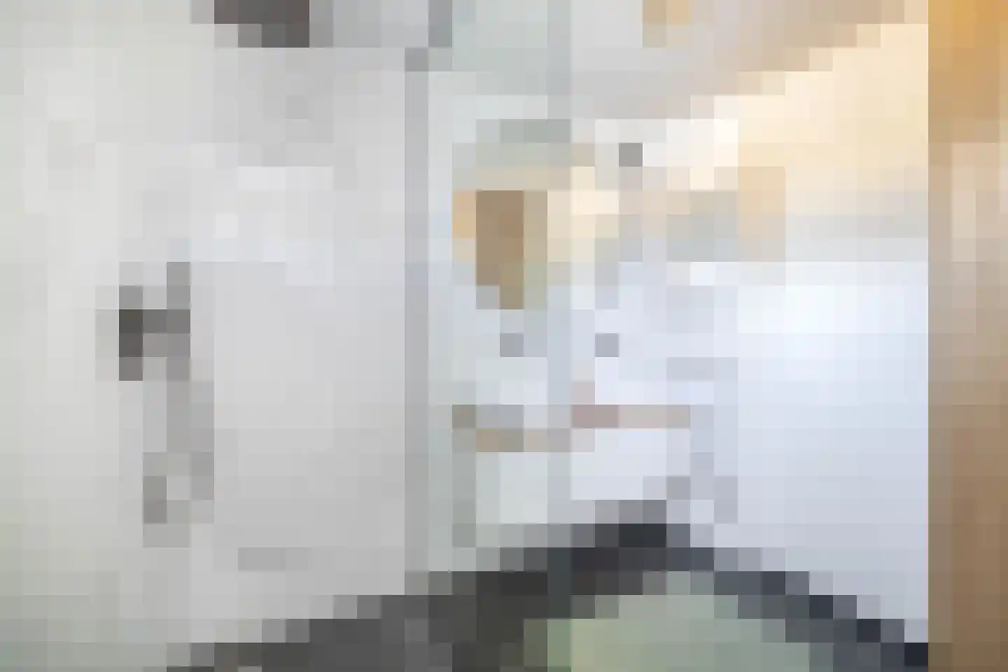Leeuwerik 2 Lemmer thumbnail 51