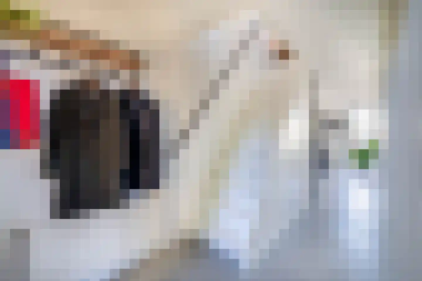 Leeuwerik 2 Lemmer thumbnail 7