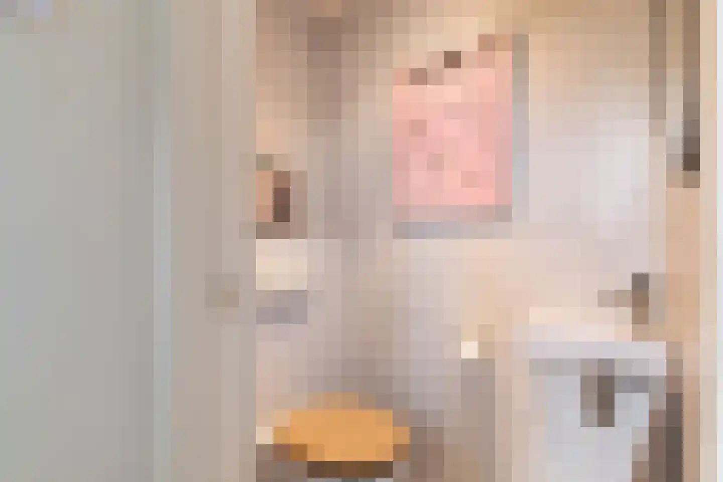 Leeuwerik 2 Nieuwegein thumbnail 12