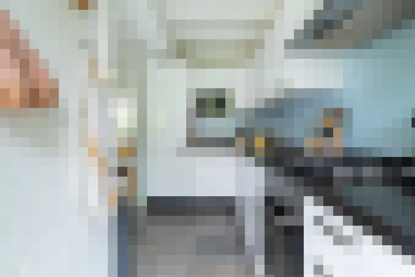 Leeuwerik 2 Nieuwegein thumbnail 18