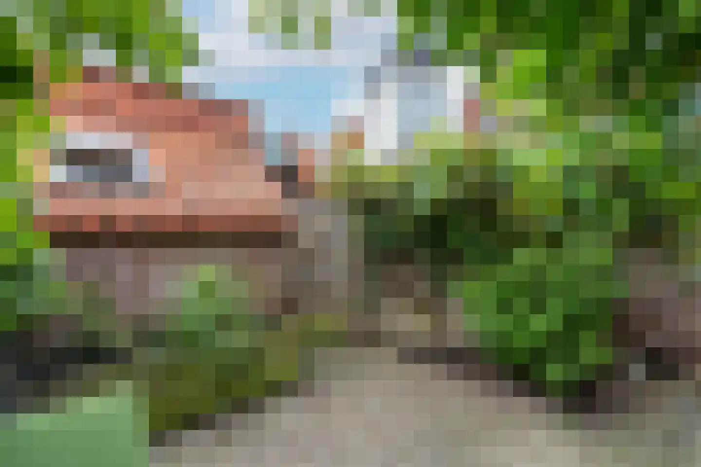 Leeuwerik 2 Nieuwegein thumbnail 19