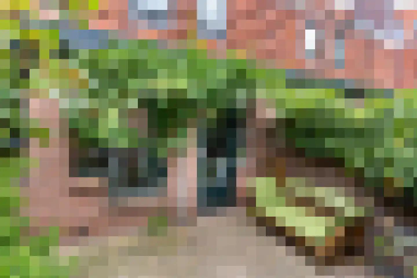 Leeuwerik 2 Nieuwegein thumbnail 20