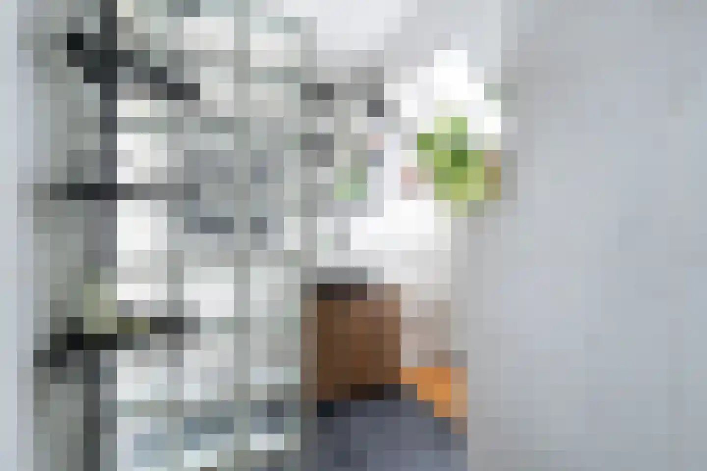 Leeuwerik 2 Nieuwegein thumbnail 7