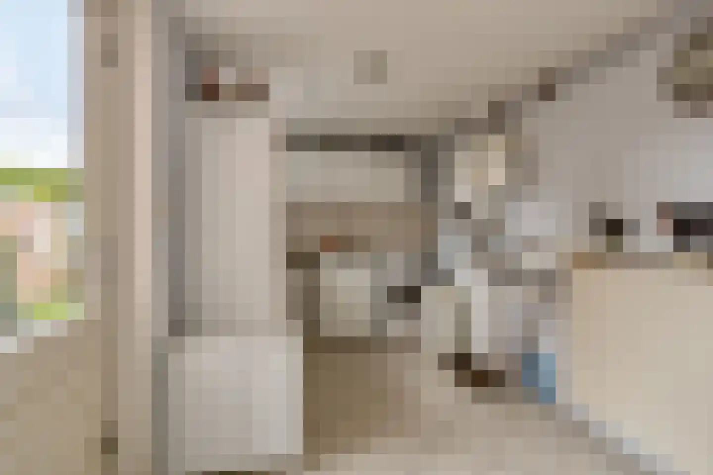 Leeuwerik 21 Grootegast thumbnail 11