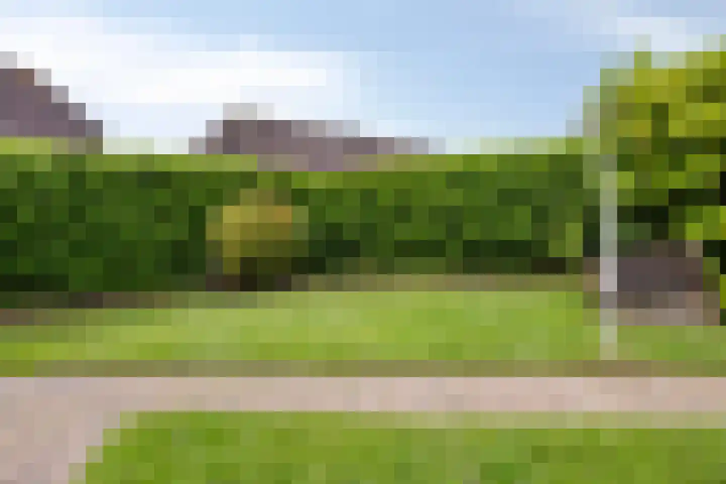 Leeuwerik 21 Grootegast thumbnail 28