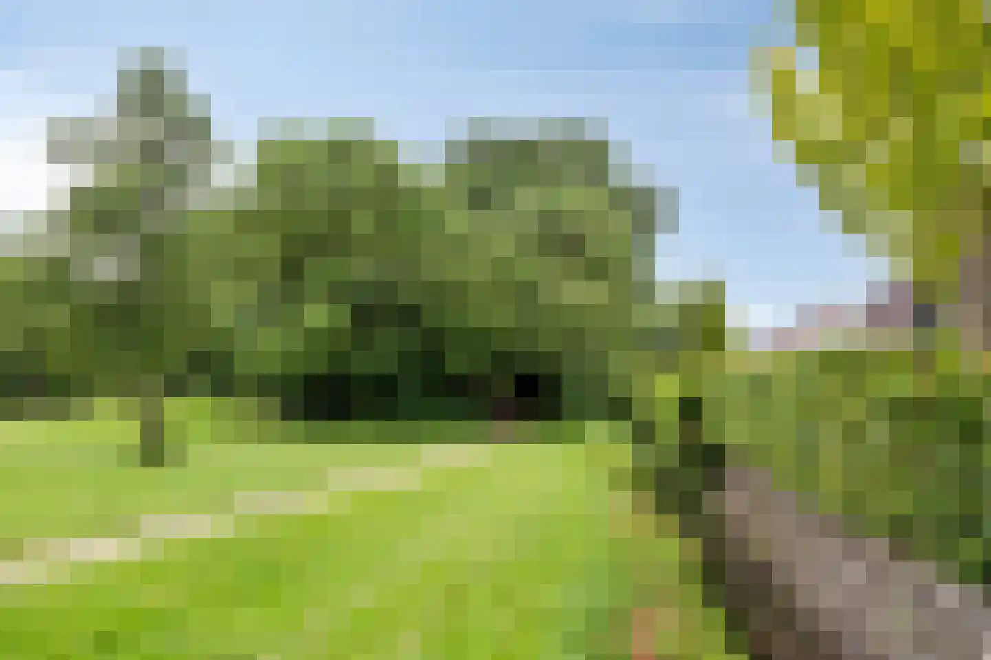 Leeuwerik 21 Grootegast thumbnail 38