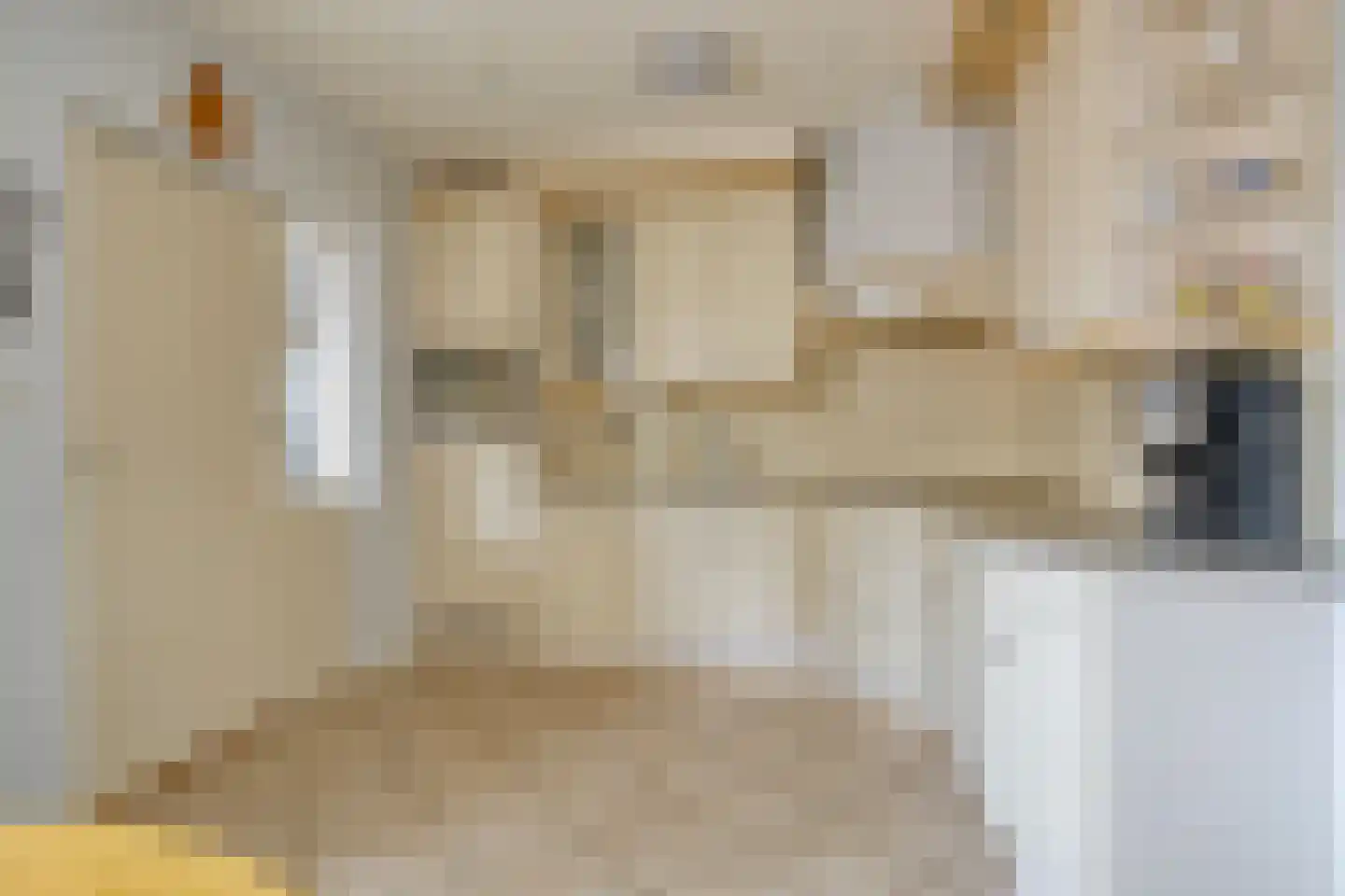 Leeuwerik 21 Grootegast thumbnail 5