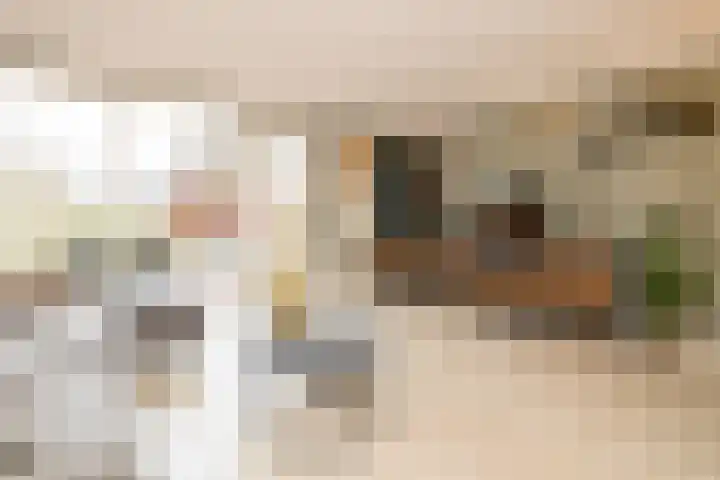Leeuwerik 23 Kwintsheul thumbnail 12